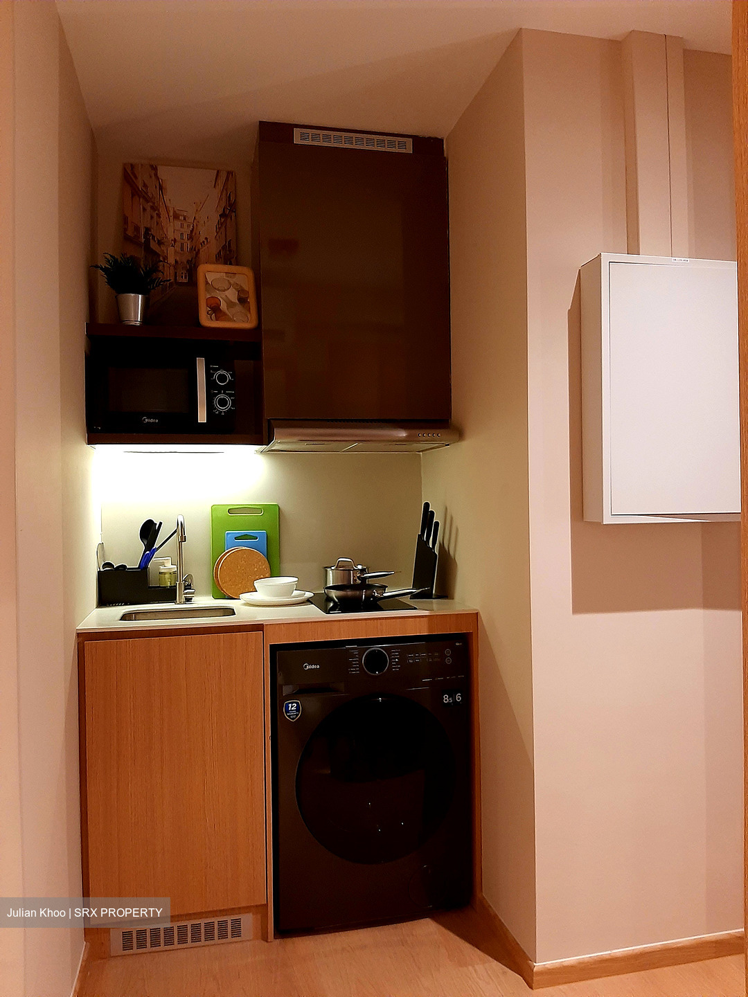 Mount Elizabeth Link (D9), Condominium #476590301